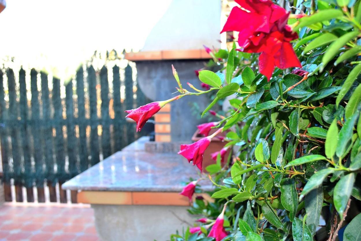 Bungalow En Camping De La Manga エクステリア 写真
