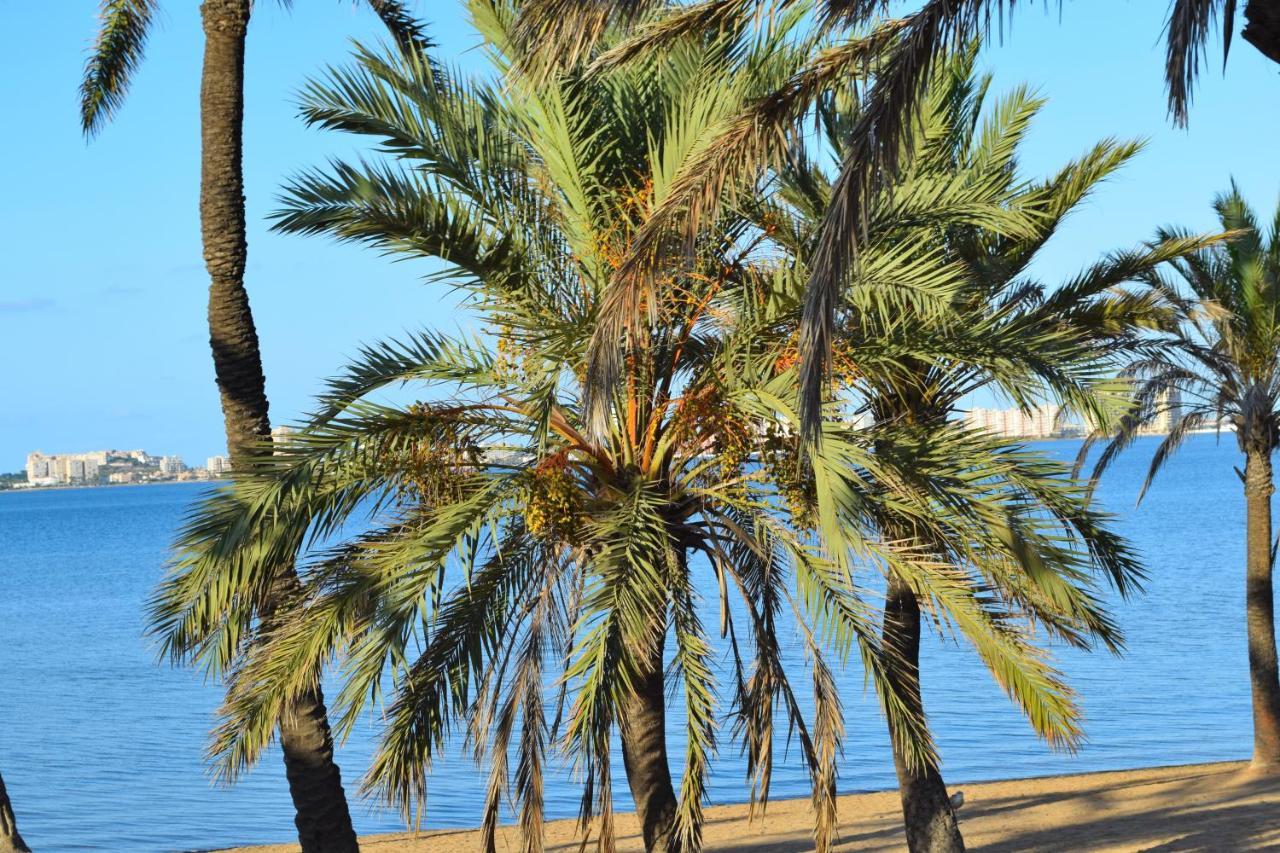 Bungalow En Camping De La Manga エクステリア 写真